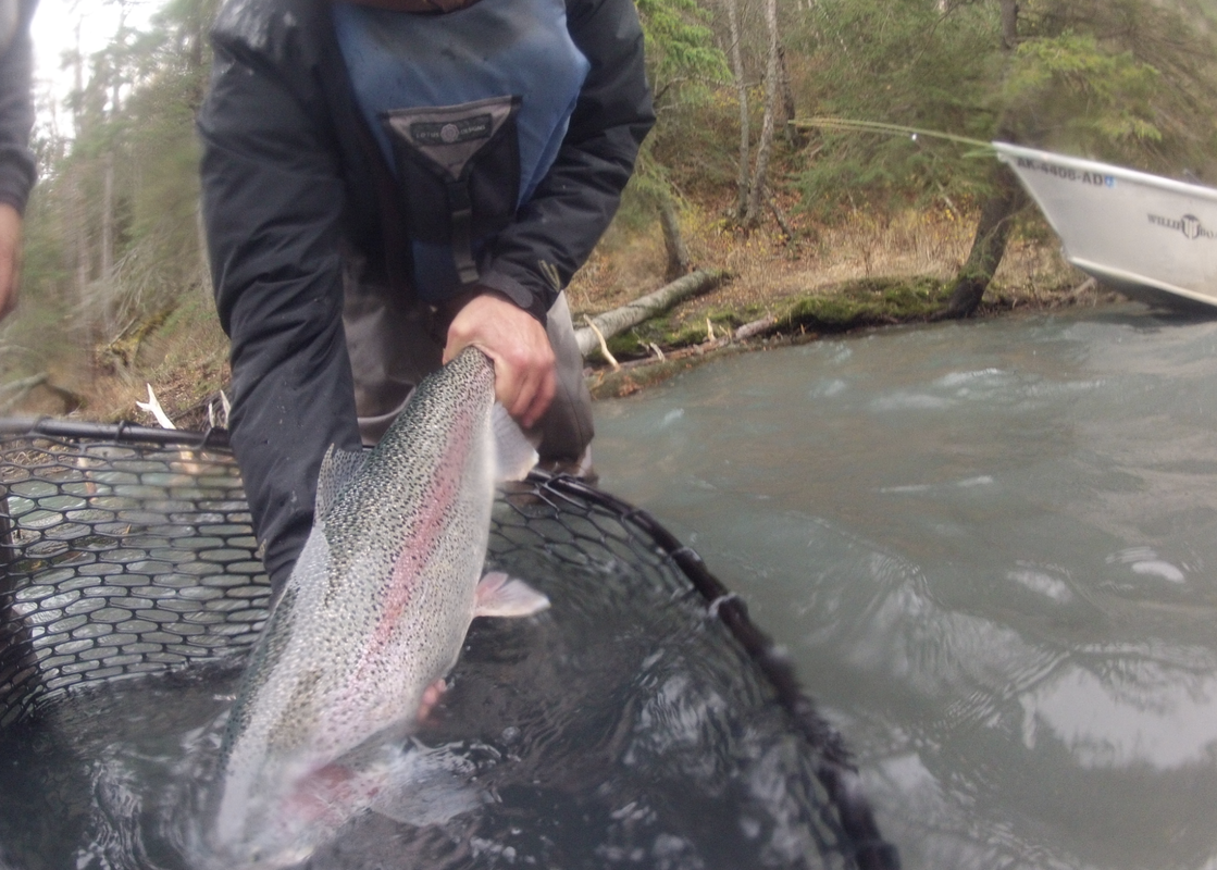 Upper Kenai River (Half Day) Private Boat - TROUT